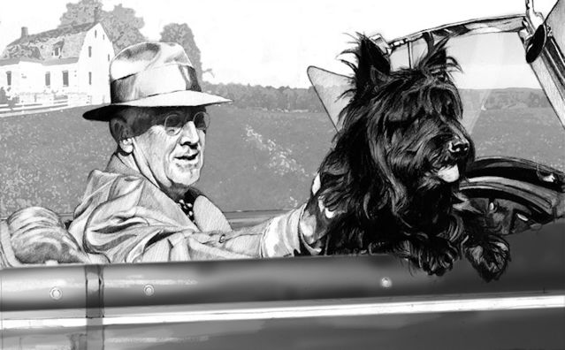 Copyright Alan Peters, from "The Animals Among Us," used with permission. Copyright Alan Peters, from "The Animals Among Us," used with permission.