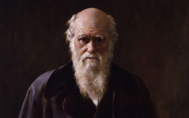 Wikimedia Commons (public domain) Wikimedia Commons (public domain)