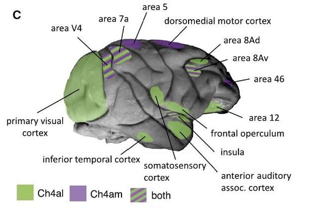 Turci et al., 2018 Turci et al., 2018