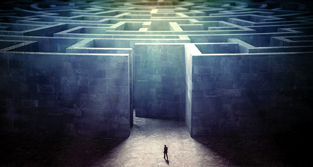 Morphic/Shutterstock Morphic/Shutterstock