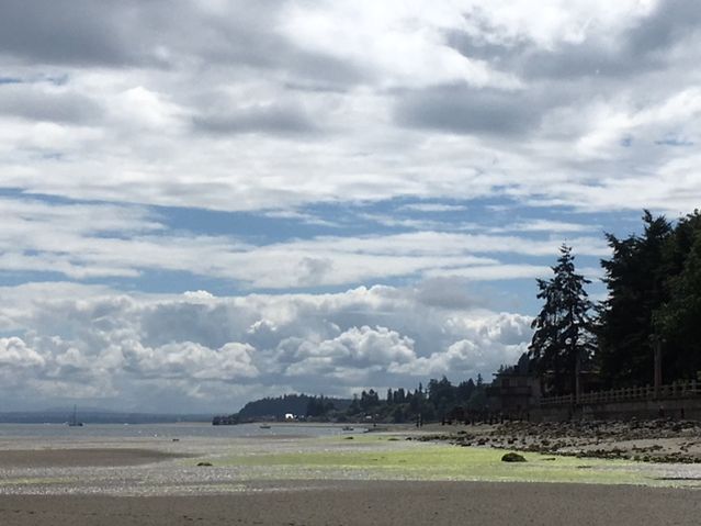 Rachel Clark. Whidbey Island WA, Salish Sea. June 2018.