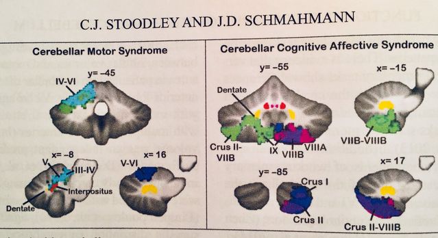 Screenshot by Christopher Bergland (@MINDlinkFound image of Chapter 4 in "The Handbook of Clinical Neurology" Volume 154, Series 3) Screenshot by Christopher Bergland (@MINDlinkFound image of Chapter 4 in "The Handbook of Clinical Neurology" Volume 154, Series 3)