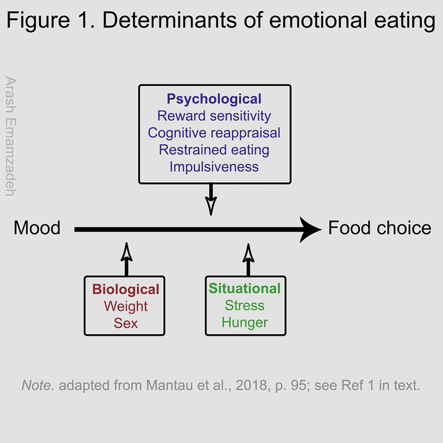 Mantau et al. 2018 (Arash Emamzadeh)