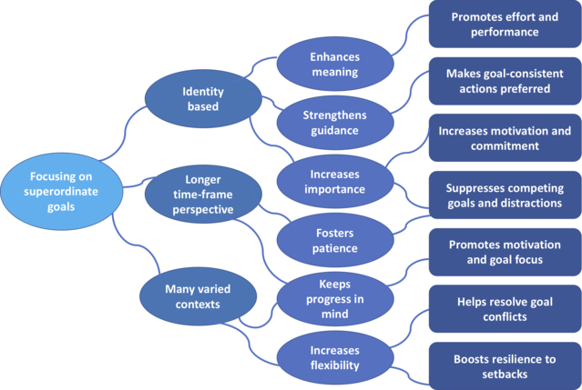 Re-drawn from Hochli, Brugger, & Messner (2018, Figure 2). Re-drawn from Hochli, Brugger, & Messner (2018, Figure 2).