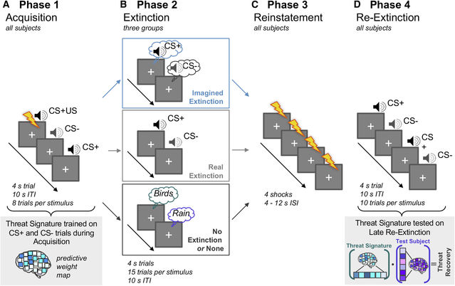  "Attentuating Neural Threat Expression with Imagination" by Reddan et al. (Neuron, 2018)