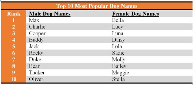 How human is your dog's name? See the people names most common in dogs. -  Washington Post