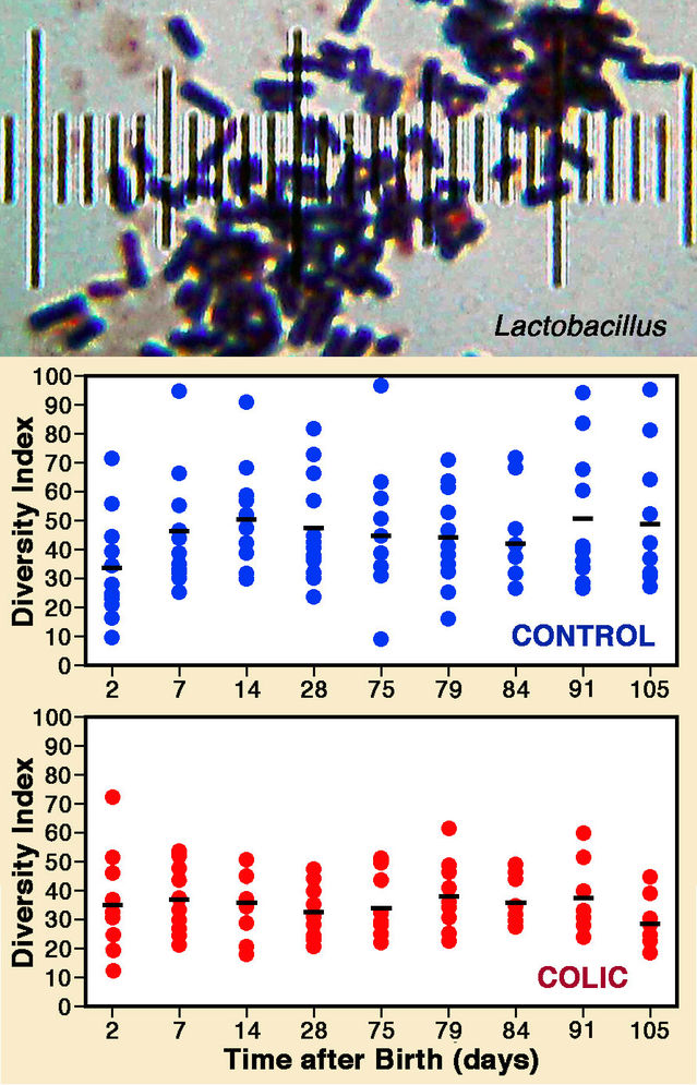  Redrawn version of a figure from de Weerth et al. (2013).