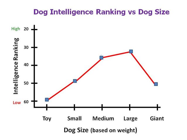 rottweiler intelligence rank