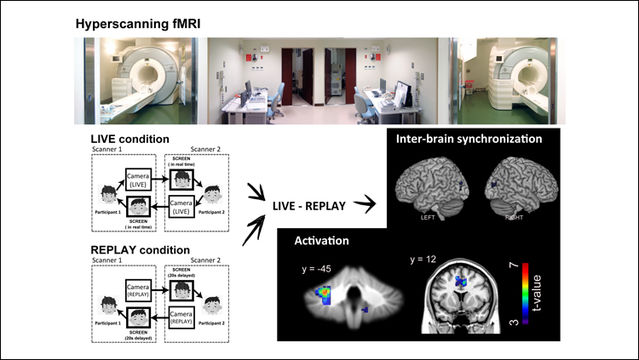 Koike et al., eNeuro (2019) Koike et al., eNeuro (2019)