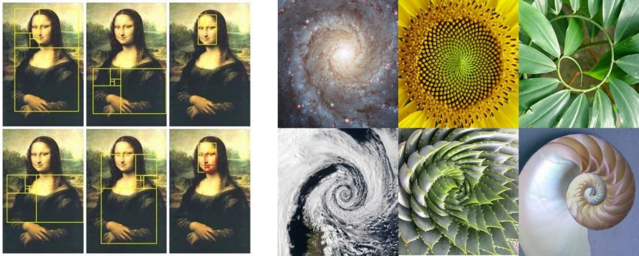 Draw Paint Academy. Draw Paint Academy.