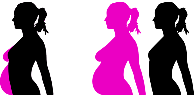pregnancy-23889_1280 Pixabay clkr-free-vector-images