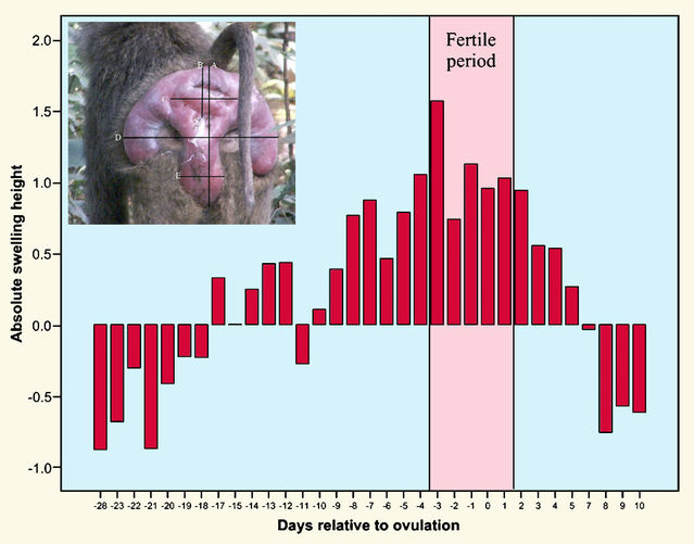 Adapted version of two figures in Higham et al. (2008). Adapted version of two figures in Higham et al. (2008).
