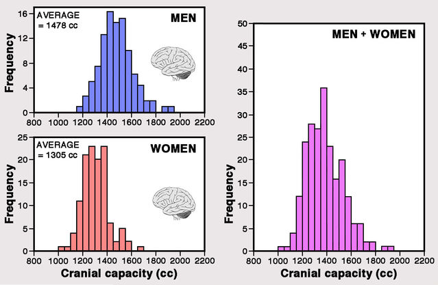 Source: Histograms generated by the author using data gathered from the Human skull collection at the Musée de l’Homme, Paris (France).