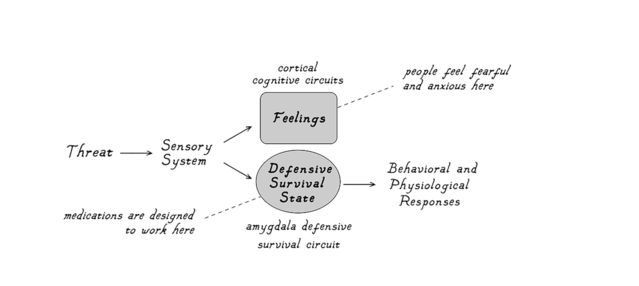 Figure 4. Illustration by Caio da Sliva Sorentino / copyright Josph LeDoux Figure 4. Illustration by Caio da Sliva Sorentino / copyright Josph LeDoux