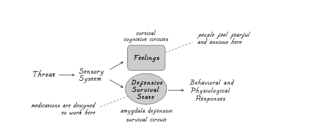  Figure 4. Illustration by Caio da Sliva Sorentino / copyright Josph LeDoux