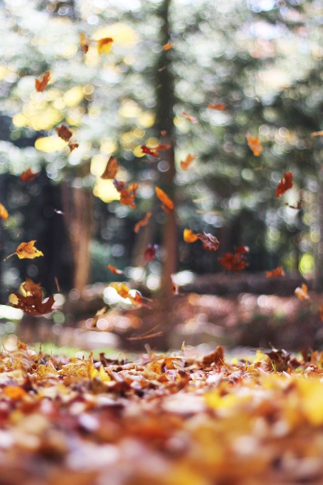 Photo by Autumn Mott Rodeheaver on Unsplash Photo by Autumn Mott Rodeheaver on Unsplash