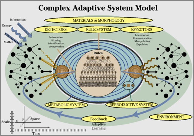 https://cdn.psychologytoday.com/sites/default/files/styles/image-article_inline_full_caption/public/field_blog_entry_images/2020-05/complex_adaptive_systems.png?itok=DbPz6Nto