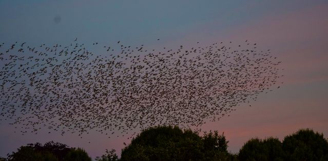 Viktor Dukov on Unsplash Viktor Dukov on Unsplash
