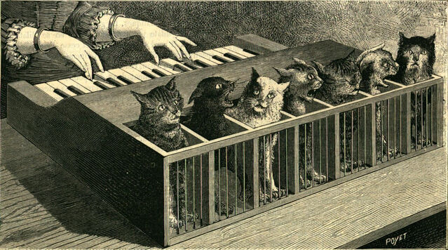 The Cat Piano