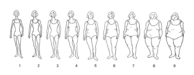 Why men prefer skinny women