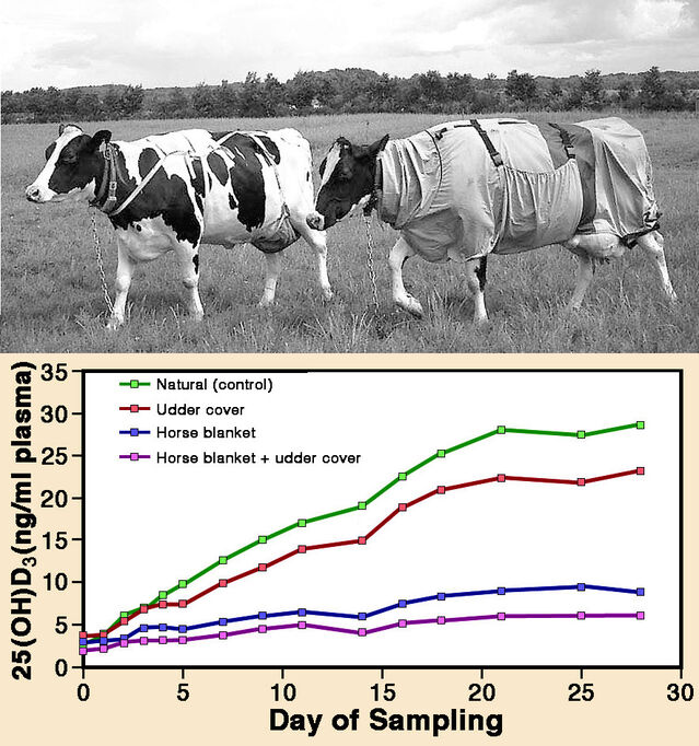  Photo and graph (modified) from Hymøller & Jensen (2020), used with kind permission from the senior author.