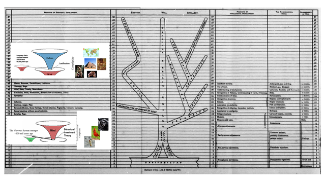 Free to Use; Romanes Mental Evolution