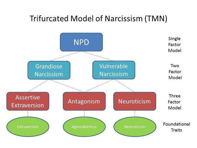 Trifurcated Model of Narcissism (TMN)/W. Keith Campbell & Josh Miller/ CC 4.0 Trifurcated Model of Narcissism (TMN)/W. Keith Campbell & Josh Miller/ CC 4.0