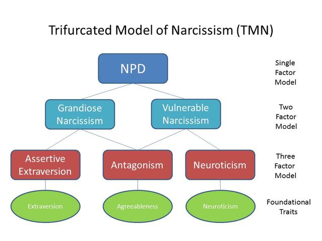 Trifurcated Model of Narcissism (TMN)/W. Keith Campbell & Josh Miller/ CC 4.0