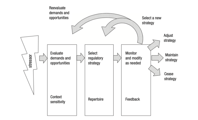 Bonanno & Burton, 2013; Figure adapted from (Bonanno & Burton, 2013; image reproduced with author’s permission)