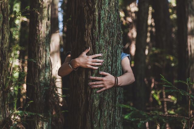 Trent Haaland/Unsplash Trent Haaland/Unsplash