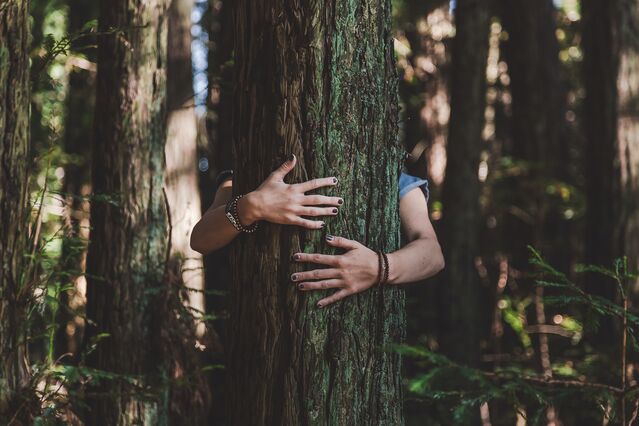 特伦特Haaland / Unsplash