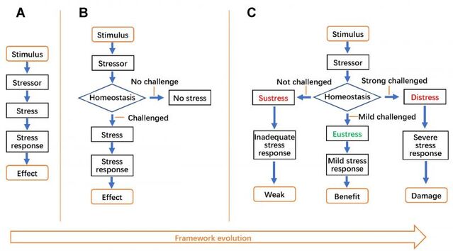 Lu et al., 2021 published in Cell Stress/Open-Access Creative Commons (CC BY 4.0) Lu et al., 2021 published in Cell Stress/Open-Access Creative Commons (CC BY 4.0)