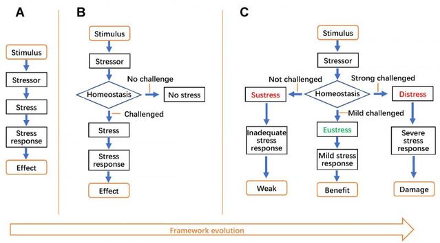 Fuente: Lu et al., 2021 published in Cell Stress/Open-Access Creative Commons (CC BY 4.0)