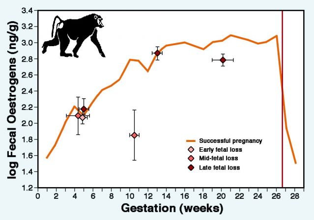Figure adapted from Beehner et al. (2006).