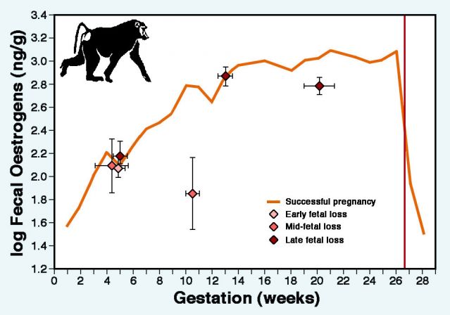 Figure adapted from Beehner et al. (2006). Figure adapted from Beehner et al. (2006).