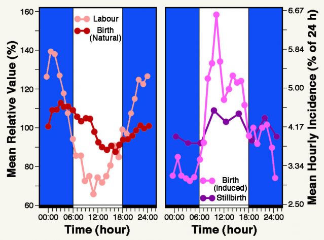 Figure redrawn from Smolensky et al. (1972) Figure redrawn from Smolensky et al. (1972)