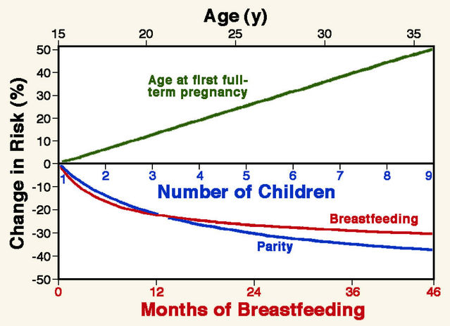 Adapted from a figure in Layde et al. (1989). Adapted from a figure in Layde et al. (1989).