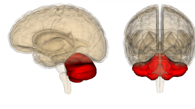 Life Sciences Database/Wikimedia Commons