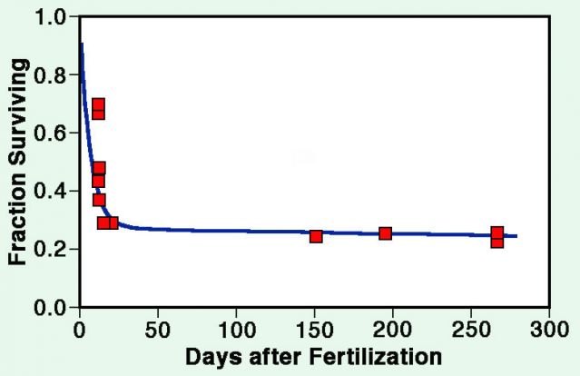 Figure adapted from Boklage (1990). Figure adapted from Boklage (1990).
