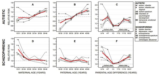 Why Autism Risk Rises With Moms Age >> Parental Age Mental Illness The Maternal Dimension Why Autism Risk Rises With Moms Age >> Parental Age Mental Illness The Maternal Dimension