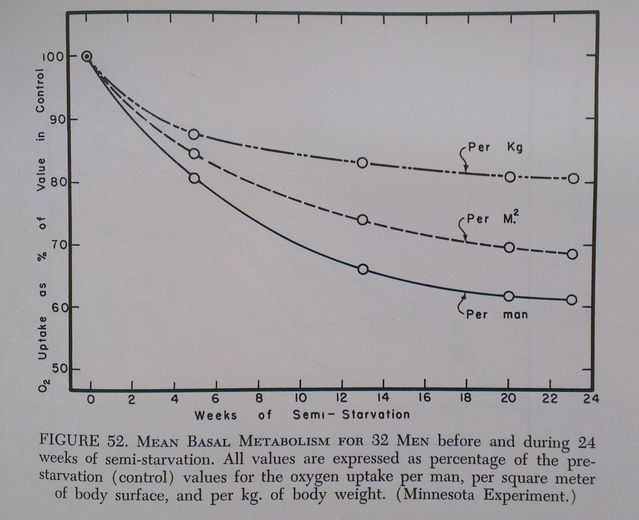 Keys, Brozek, and Henschel 1950, p. 329 Keys, Brozek, and Henschel 1950, p. 329