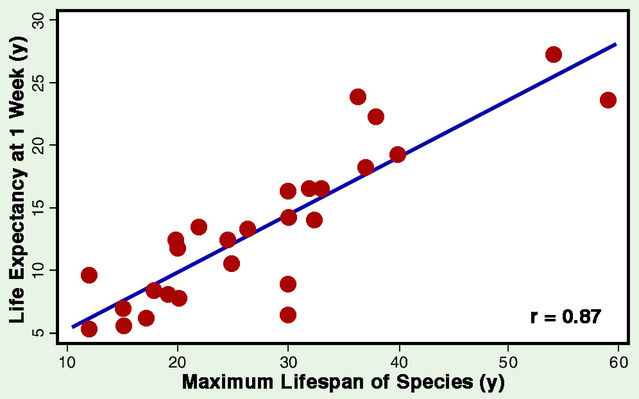 Intrinsic Rate Of Natural Increase For Human Intrinsic Rate Of Natural Increase For Human