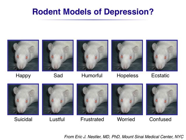 Used with permission by Eric Nestler, M.D., Ph.D, Mt. Sinai Medical Center Used with permission by Eric Nestler, M.D., Ph.D, Mt. Sinai Medical Center
