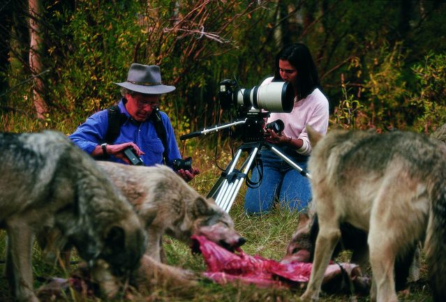 The friendship between humans and wolves has ancient roots.