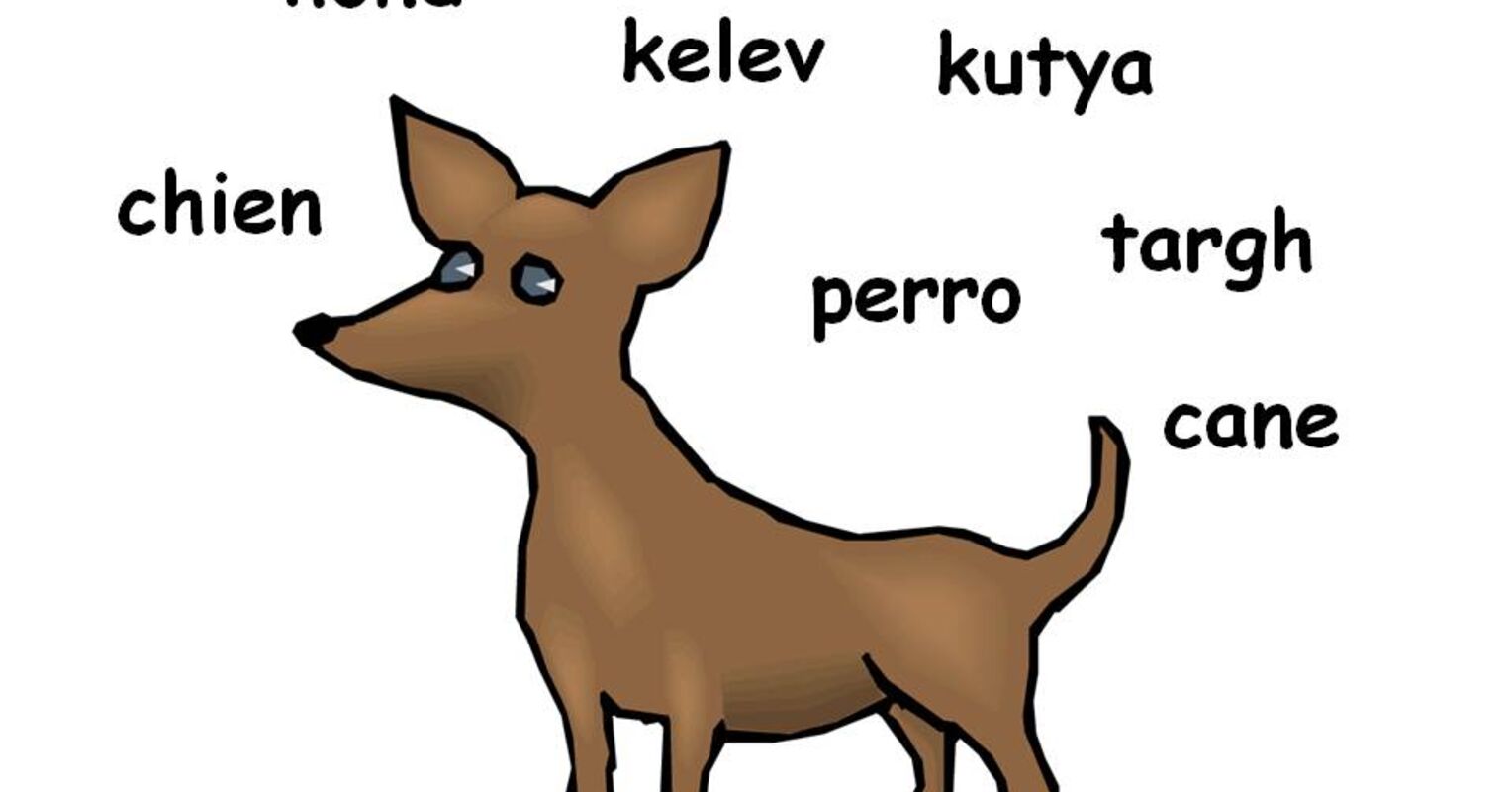 How Do You Say Dog Psychology Today