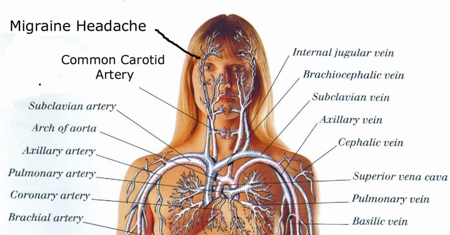 The Pain In My Brain Psychology Today