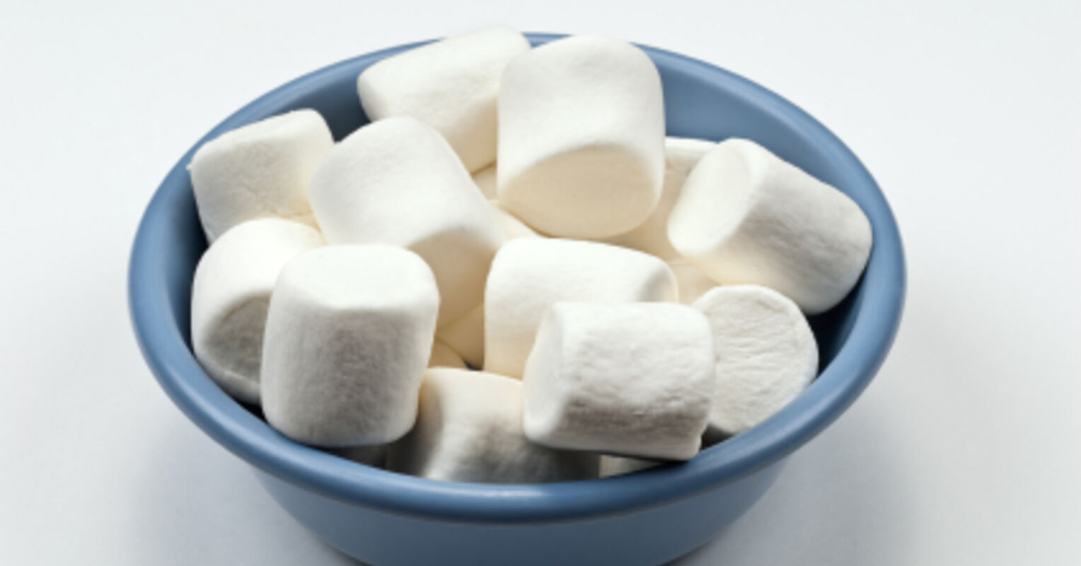 Lead Us Not Into Temptation Science & The Marshmallow Test Psychology Today