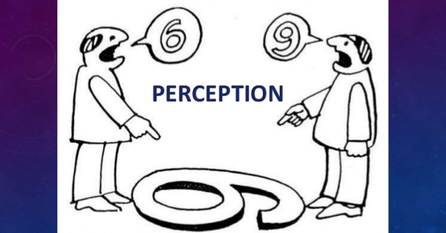 perception bias