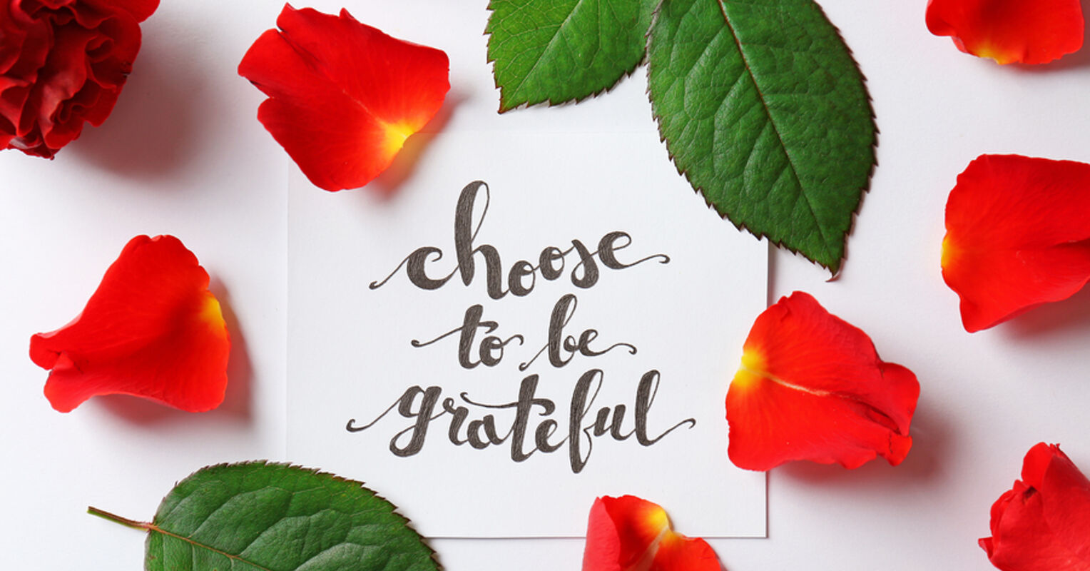 Image result for grateful
