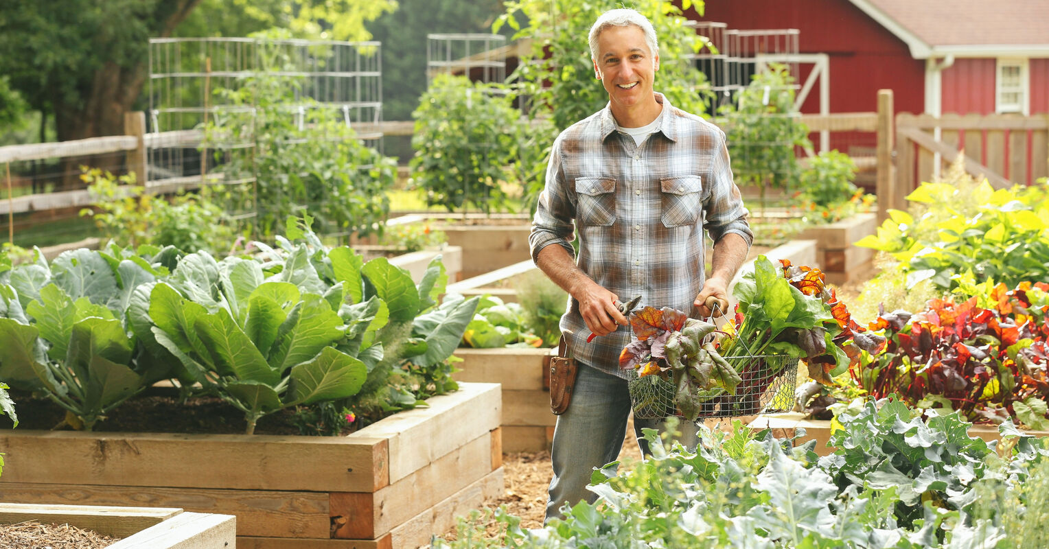 10 Mental Health Benefits of Gardening